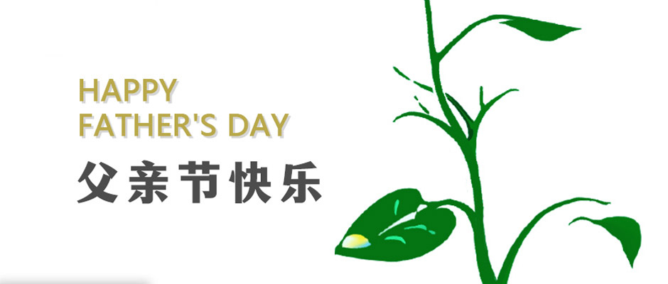 父爱无言，感恩相伴